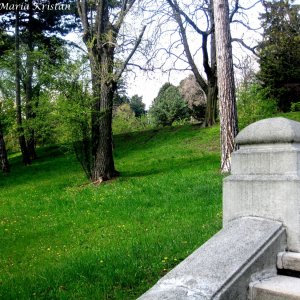 Am Steinhof