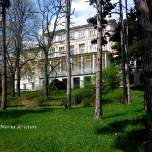 Am Steinhof