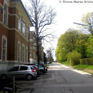 Am Steinhof