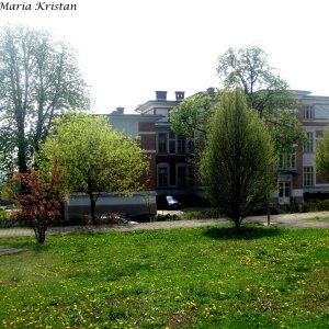 Am Steinhof