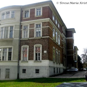 Am Steinhof