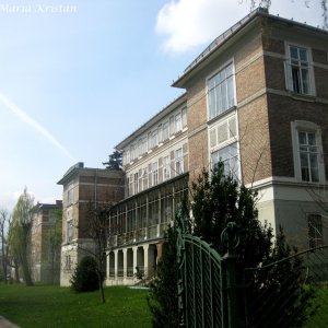 Am Steinhof