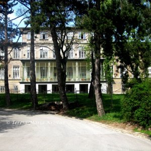 Am Steinhof