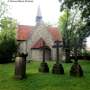 Dom- und St. Magnifriedhof, Braunschweig