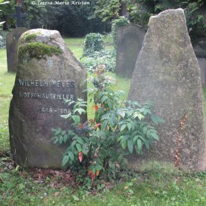 Dom- und St. Magnifriedhof, Braunschweig