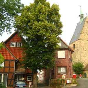 Archidiakonatskirche und Marktplatz in Apelern