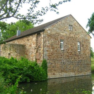 Schlossruine Rodenberg