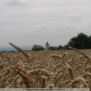 Pfarrkirche St. Peter und Paul in Erla - Ehem. Benediktinerinnenklosterkirc