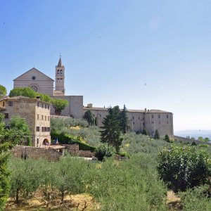 Blick auf Sa.Chiara in Assisi