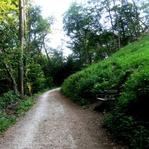 Am Weg zur Burgruine Gösting, Graz