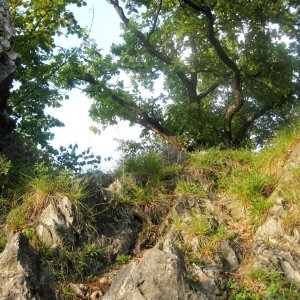 Am Weg zum Jungfernsprung, Burgruine Gösting, Graz