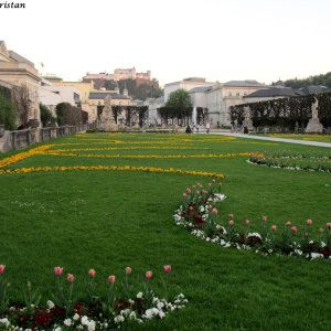 Mirabellgarten