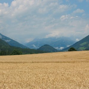 Kirche am Danielsberg - eine Umschau