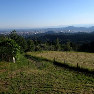 Auf der Platte