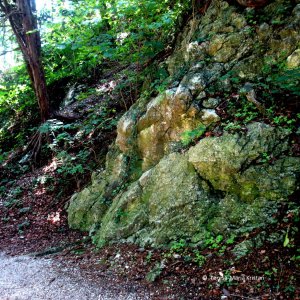 Am Odinstein, Traunkirchen