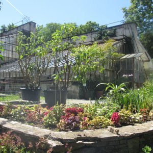 Historische Gewächshäuser, Botanischer Garten Graz