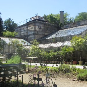 Historische Gewächshäuser, Botanischer Garten Graz