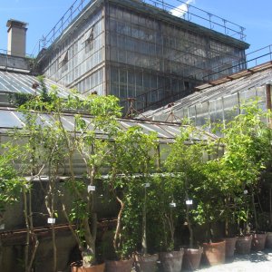 Historische Gewächshäuser, Botanischer Garten Graz