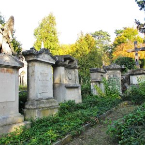 Biedermeier-Hain Friedhof Wien-Hietzing