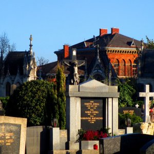 Zentralfriedhof Graz