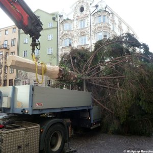 Innsbruck Weihnachtsbaum 2013