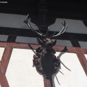 Schloss Peles, Sinaia- Walachei