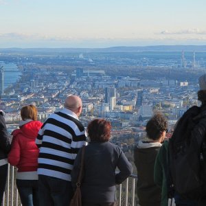 Blick auf Wien