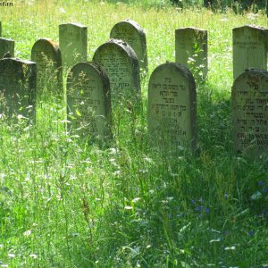 Jüdischer Friedhof, Frauenkirch- Schweiz