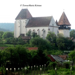 Kirchenburg, Bazna