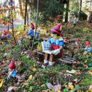 Pinocchio im Zwergenwald