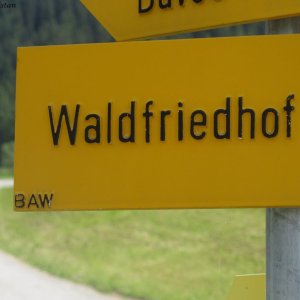 Waldfriedhof Davos