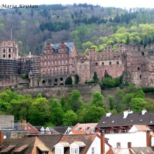 Heidelberger Schloss