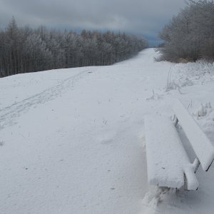 Winterlandschaft