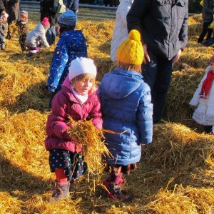 Advent im Stroh