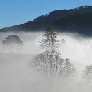 an der  Nebelobergrenze