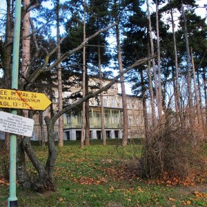 Zum Kommunikationszentrum im Otto-Wagner-Spital