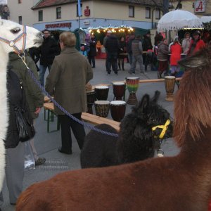 Weihnachtsmarkt