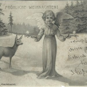 Weihnachtswald