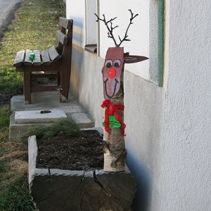 Rudolf, das Rentier in Patsch