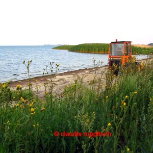 strand stahlbrode