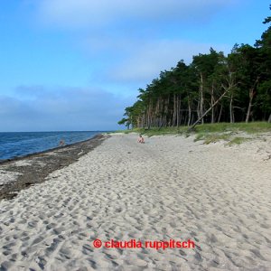 strand ludwigsburg