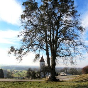 Nikolauskirche in Ardagger