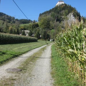 Wanderweg zur Burg Strechau