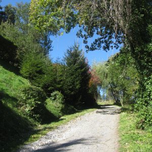 Wanderweg zur Burg Strechau