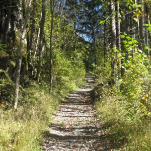 Wanderweg zur Burg Strechau