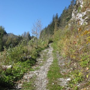 Wanderweg zur Burg Strechau