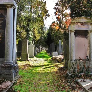 Alter Israelitische Friedhof Wien-Simmering