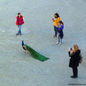 Beruf: Fotomodell auf Schloss Ambras