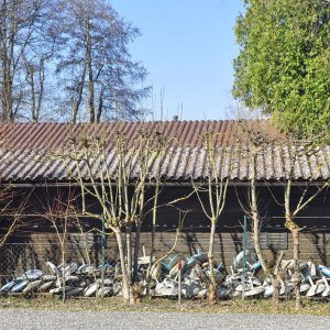 Unterkärntner Seen im Frühling