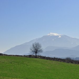 Unterkärntner Seen im Frühling